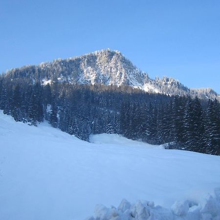 Oberschlassbergbauer Wald im Pinzgau Esterno foto