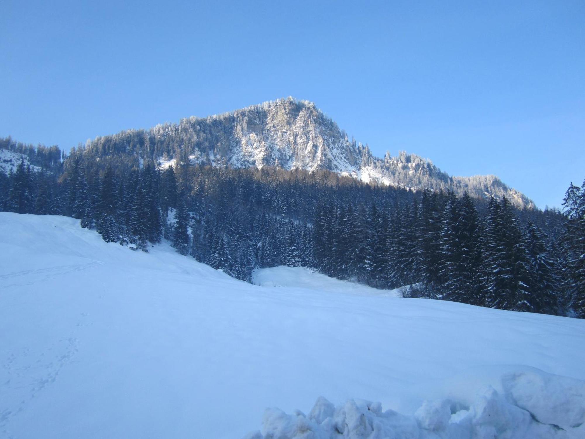 Oberschlassbergbauer Wald im Pinzgau Esterno foto